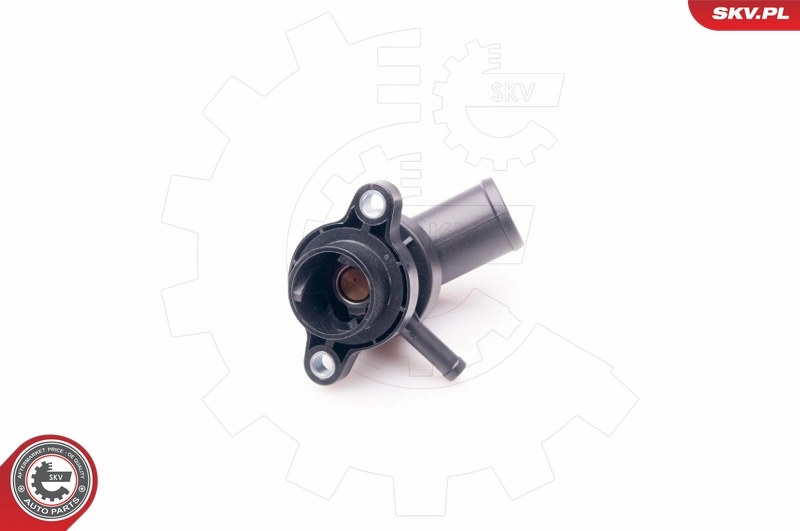 Thermostat, coolant